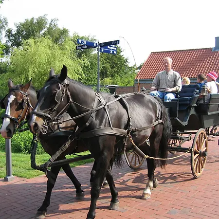 Kompleks wypoczynkowy Byferie 4*