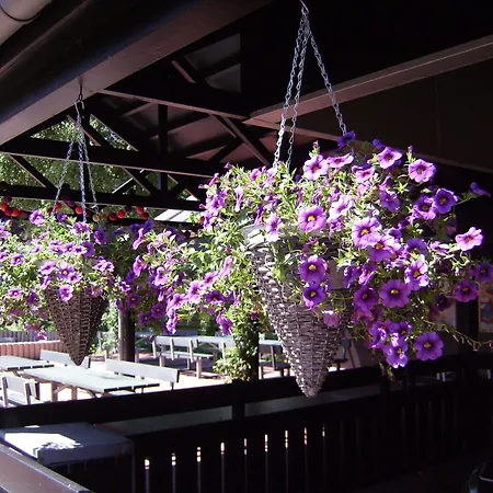 홀리데이파크 비페리 리베