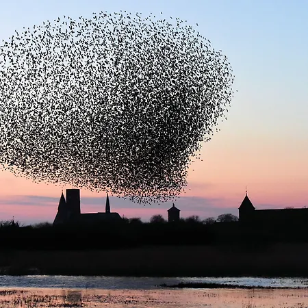 Byferie Aldeamento Turístico