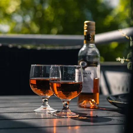 비페리 홀리데이파크 4*