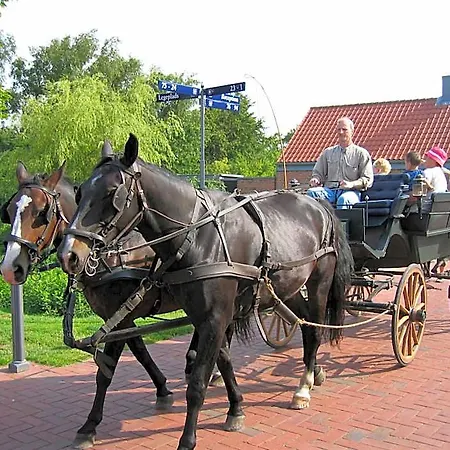 Parque de vacaciones Byferie 4*