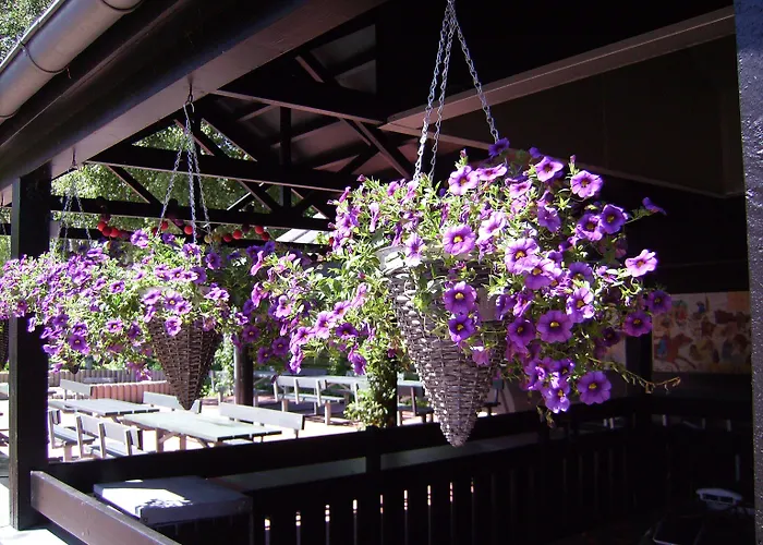 Aldeamento Turístico Byferie Ribe