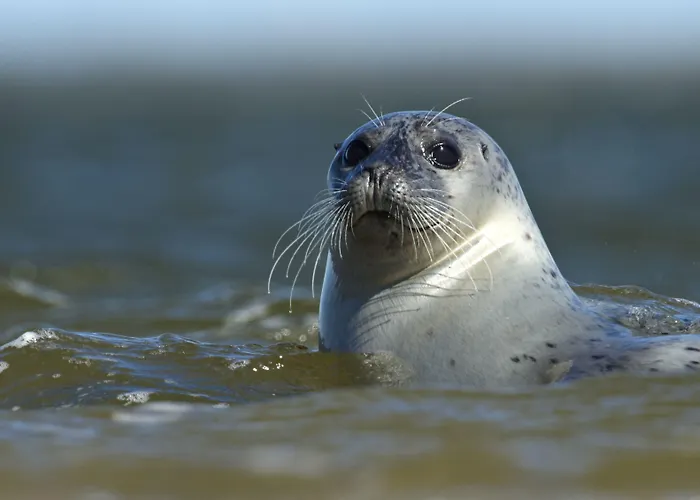 Byferie Prázdninový areál