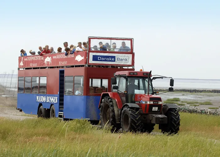 Prázdninový areál Byferie Ribe
