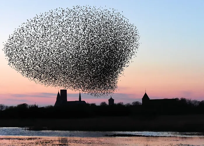 Byferie Aldeamento Turístico